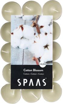 spaas cotton blossom
