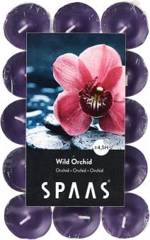 spaas wild orchid