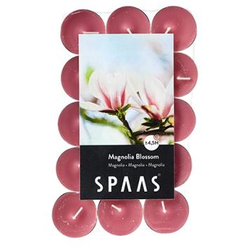 spaas magnolia blossom