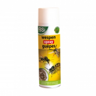 wespenspray bsi